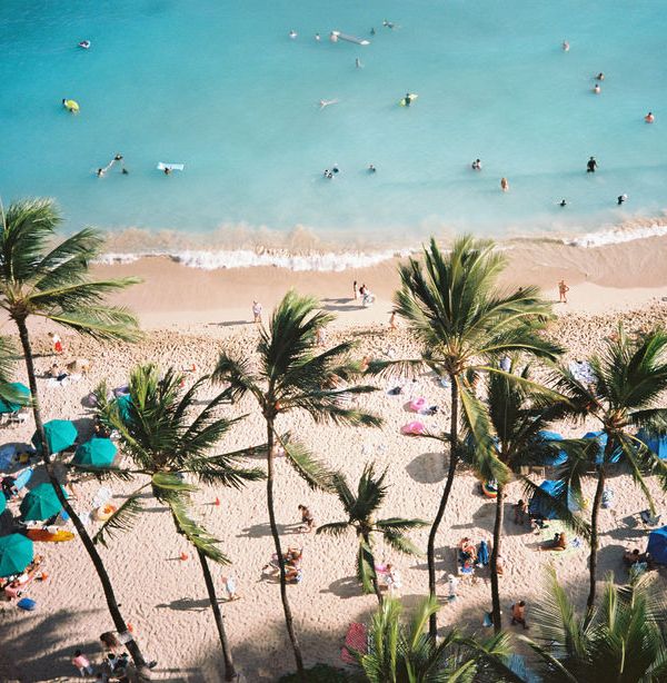 Waikiki Beach On Ocean And Sea And Sunshine
