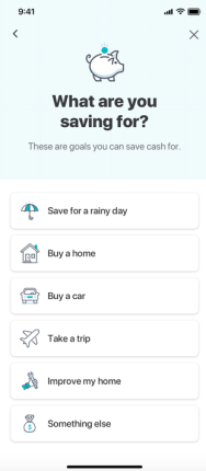 Mint Goals iOS - Choose a goal