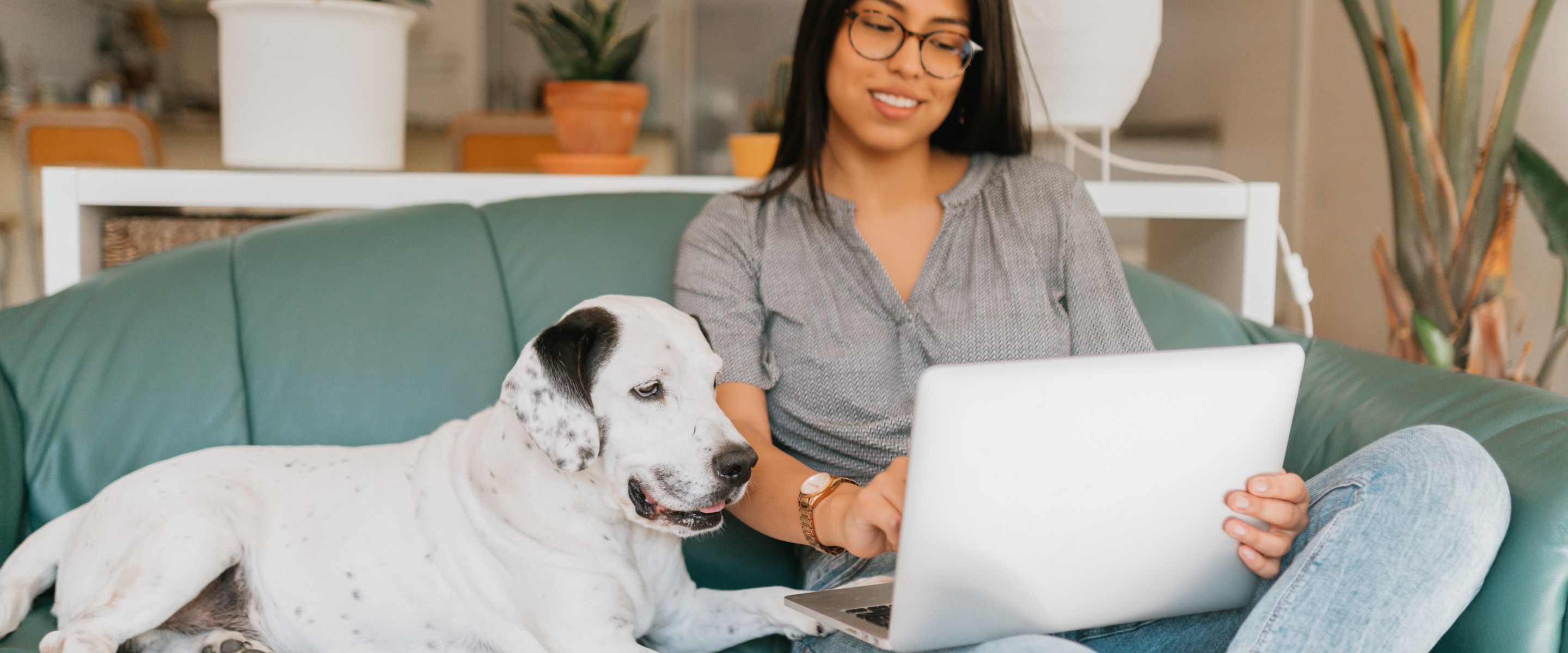 Young woman working from home on her laptop near her dog